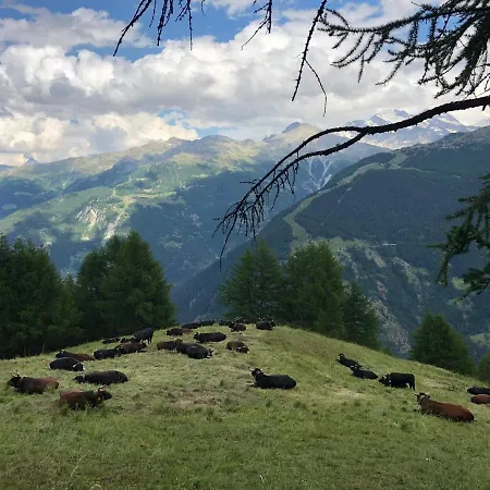 Bed & Breakfast Bergbeiz Morgenrot